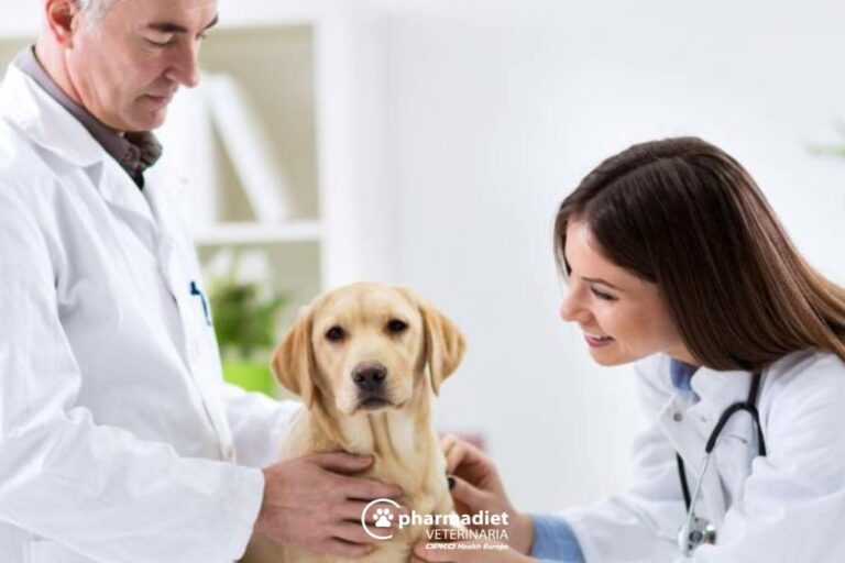 Colaboraciones Pharmadiet – Pharmadiet Veterinaria