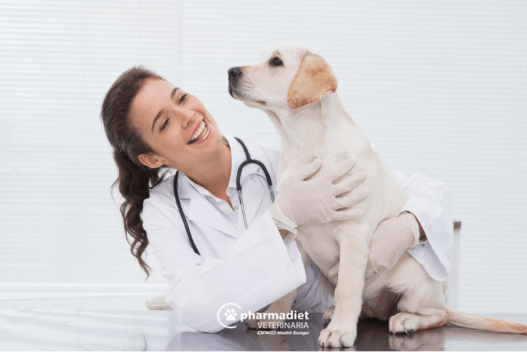 Veterinaria con un perro- Pharmadiet