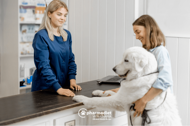 Marketing de clínica veterinaria para tu negocio - Pharmadiet Veterinaria